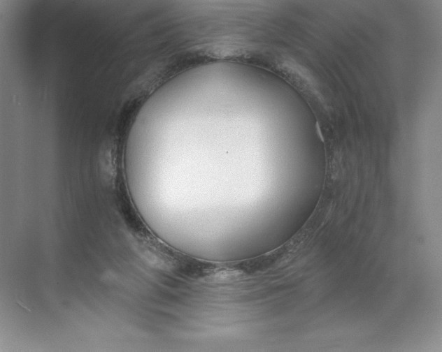 X0000068810210200605191815