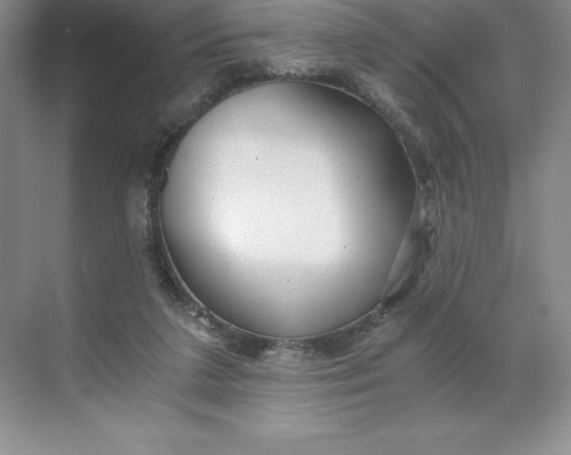 X0000068810211200605191815