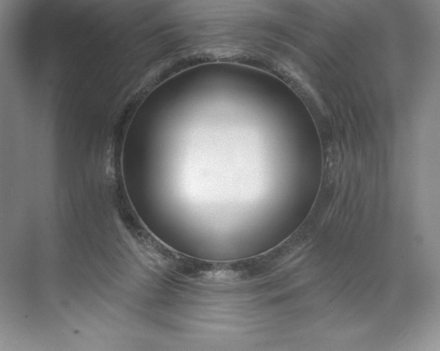 X0000068810212200605191815