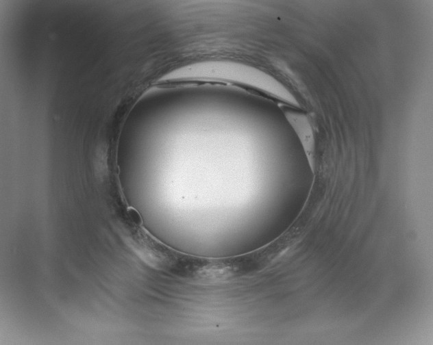 X0000068810213200605191815