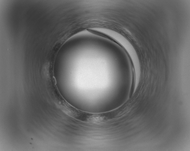 X0000068810217200605191815
