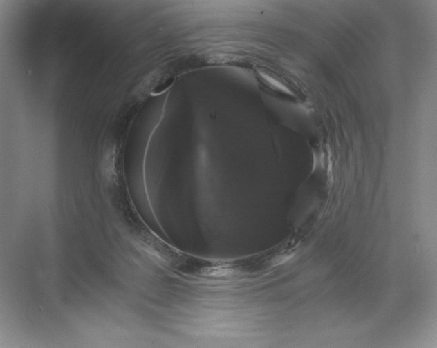 X0000068810219200605191815