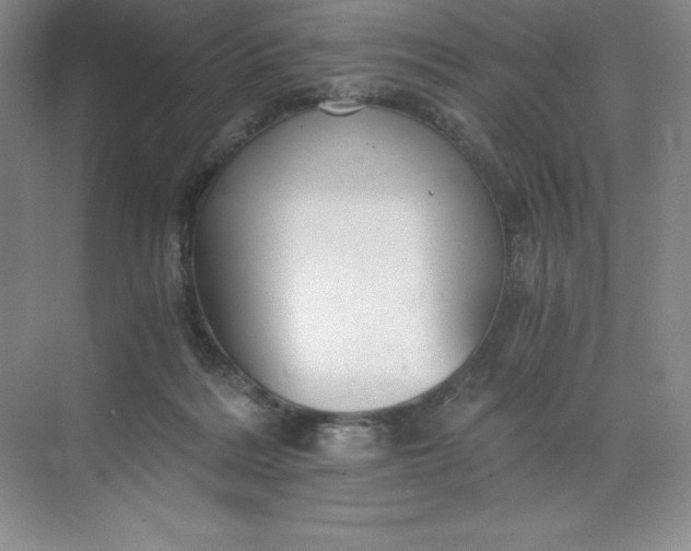 X0000068810220200605191815