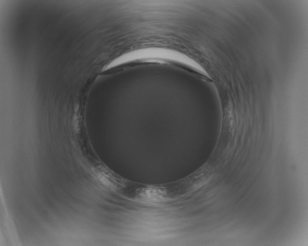 X0000068810223200605191815