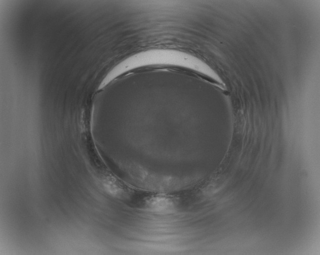X0000068810224200605191815