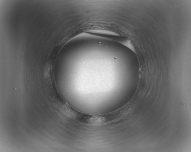 X0000068810225200605191815