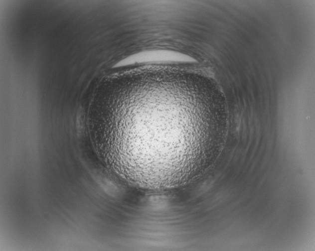 X0000068810228200605191815