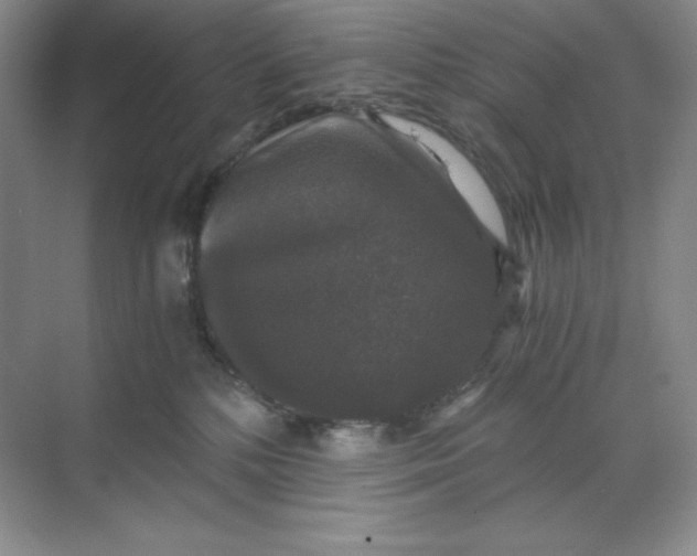 X0000068810232200605191815