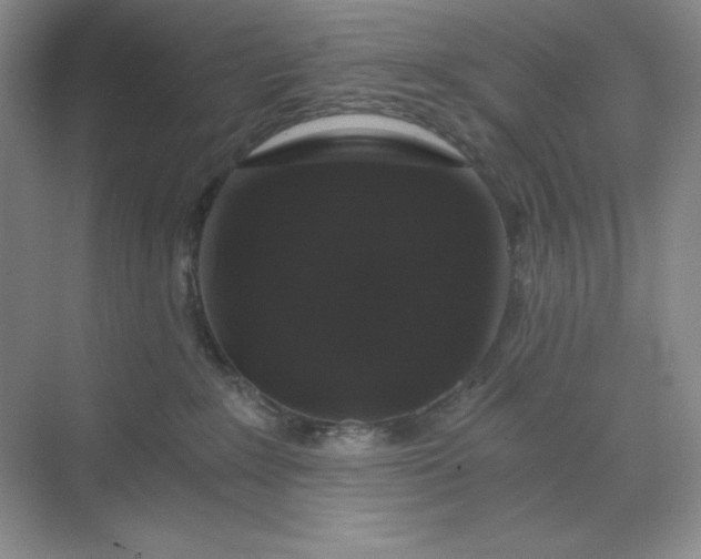 X0000068810235200605191815