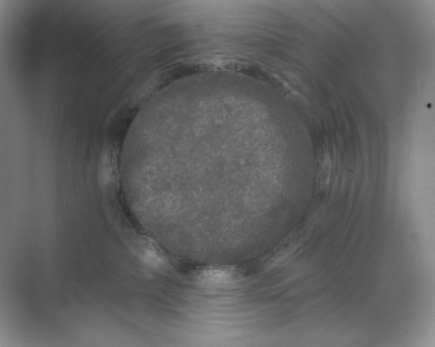 X0000068810236200605191815