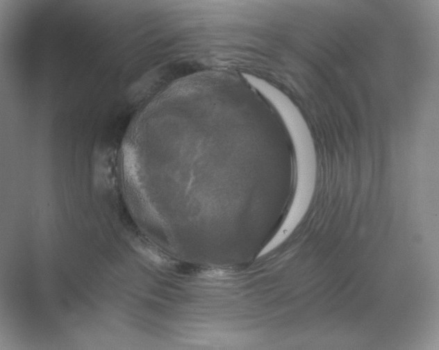 X0000068810237200605191815