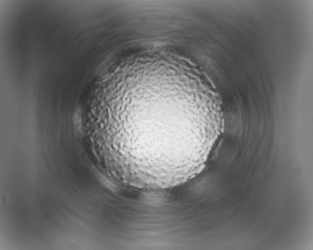 X0000068810238200605191815