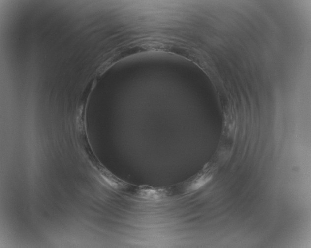 X0000068810239200605191815