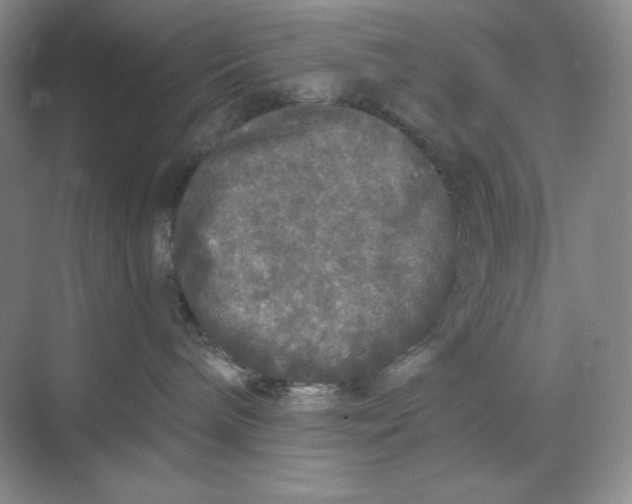 X0000068810240200605191815