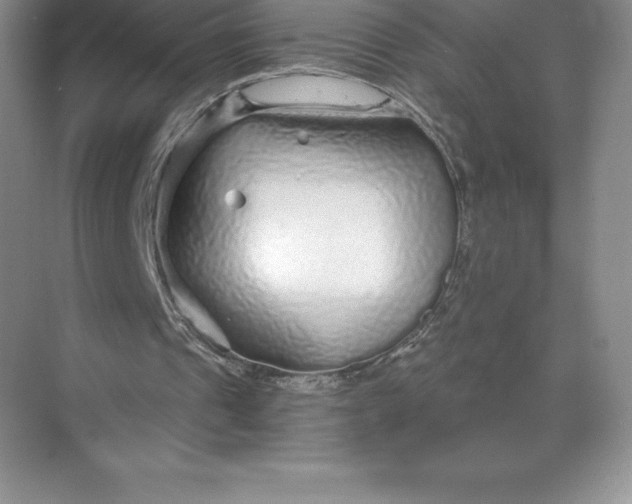 X0000068810241200605191814