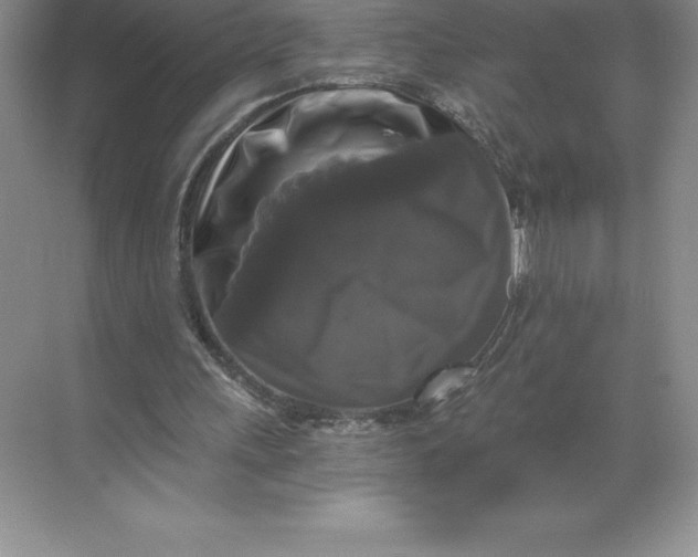 X0000068810243200605191814