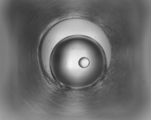 X0000068810244200605191814
