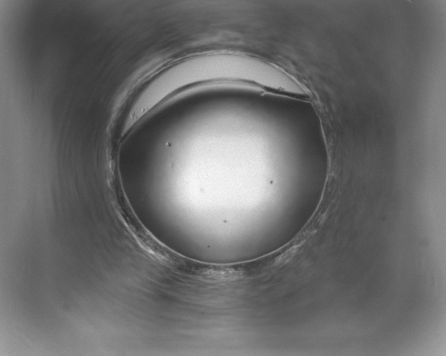 X0000068810245200605191814