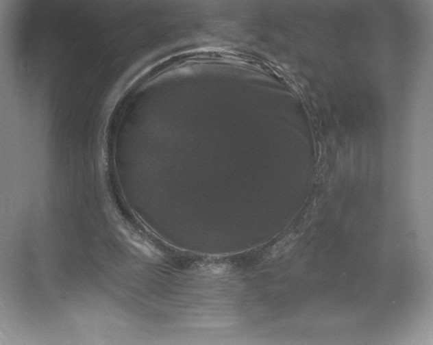 X0000068810247200605191814