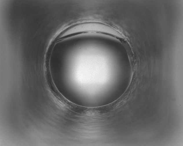 X0000068810248200605191814