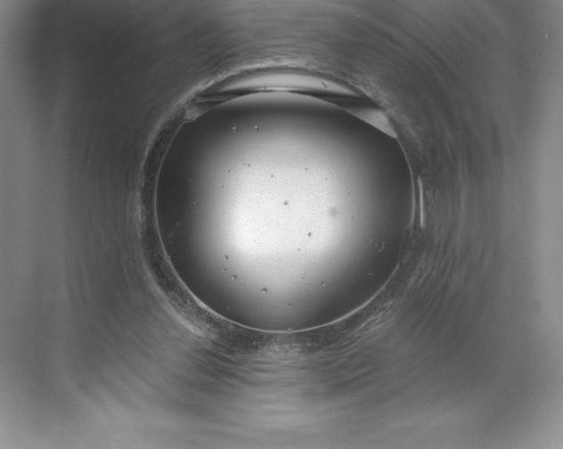 X0000068810252200605191814