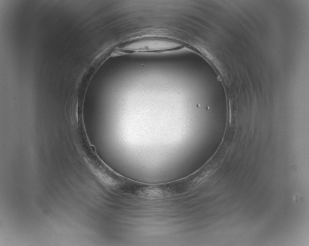 X0000068810253200605191814