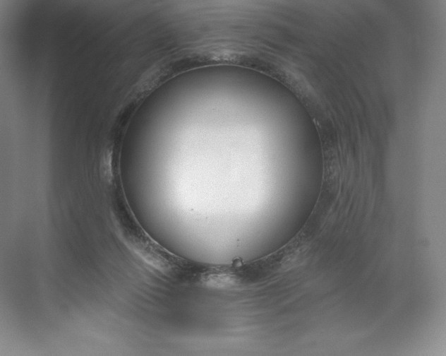 X0000068810262200605191815