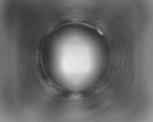 X0000068810263200605191815