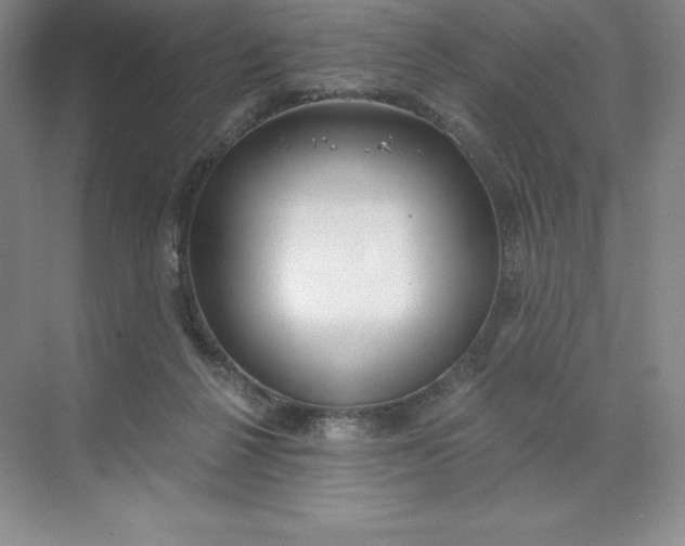 X0000068810264200605191815