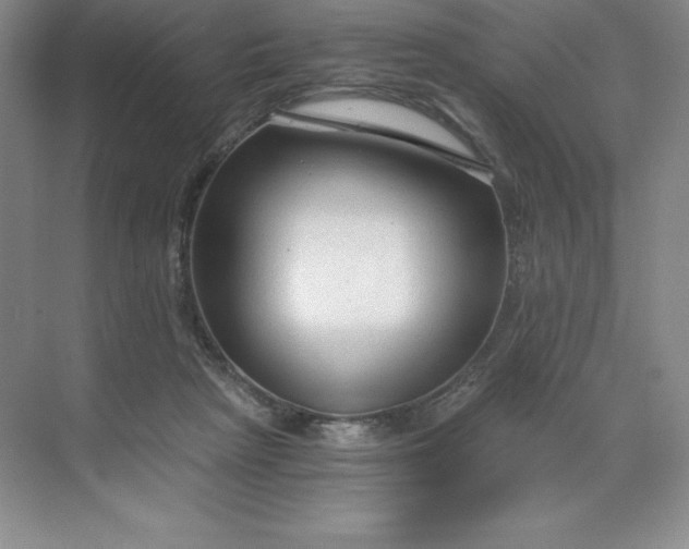 X0000068810265200605191815