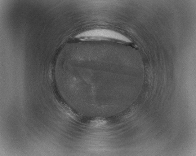 X0000068810266200605191815