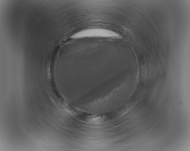 X0000068810267200605191815