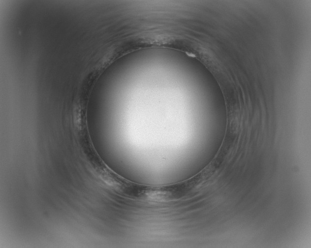 X0000068810268200605191815