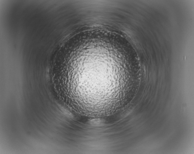 X0000068810269200605191815