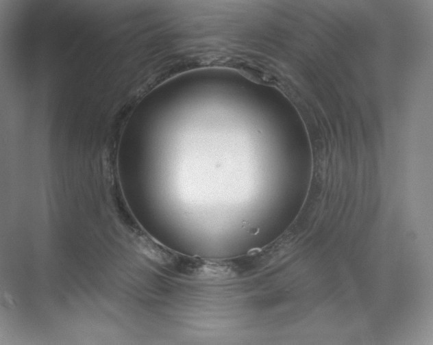 X0000068810270200605191815
