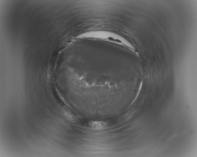 X0000068810277200605191815