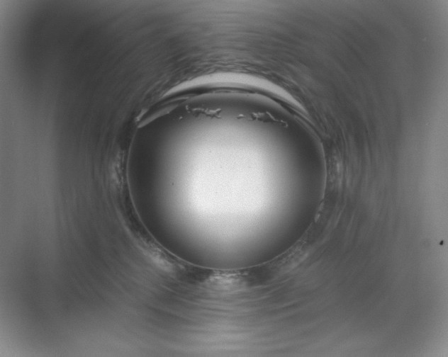 X0000068810280200605191815