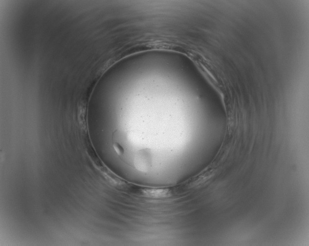 X0000068810281200605191815