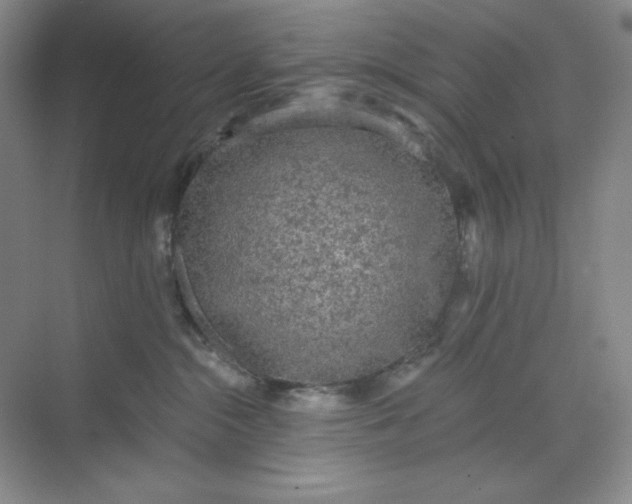 X0000068810284200605191815