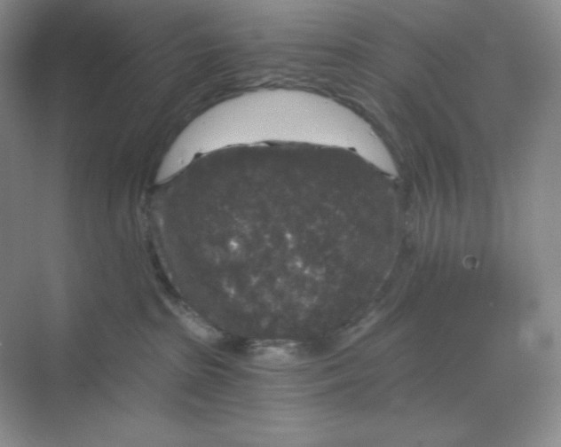 X0000068810285200605191815