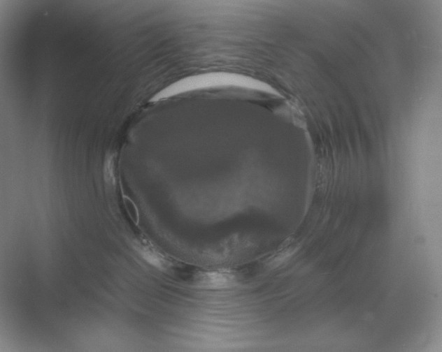 X0000068810286200605191815
