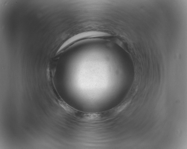 X0000068810288200605191815