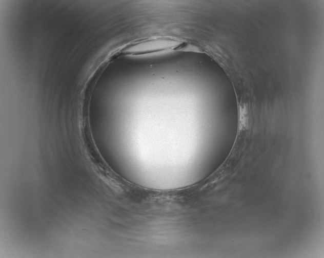 X0000068810291200605191814