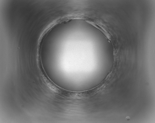 X0000068810293200605191814