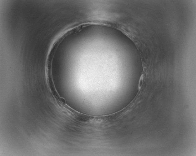 X0000068810294200605191814