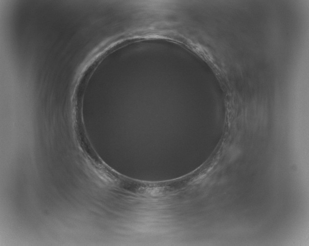 X0000068810295200605191814