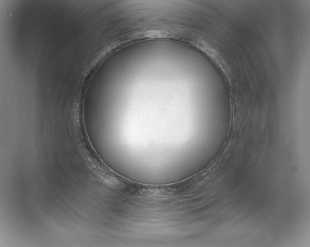 X0000068810297200605191814