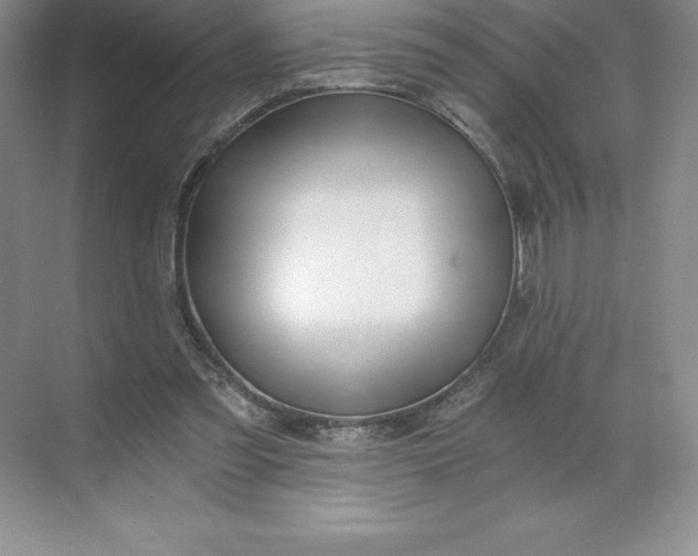 X0000068810301200605191814