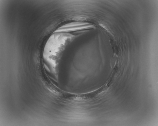 X0000068810303200605191814
