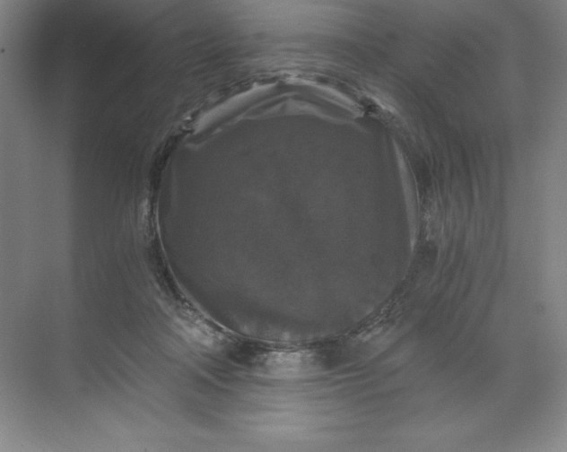X0000068810314200605191814